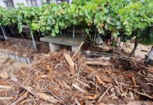 Изплащането на помощите за пострадалите от наводненията стартира на 19 септември