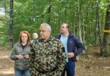 Де(Се)мерджиев и 40-те разбойника