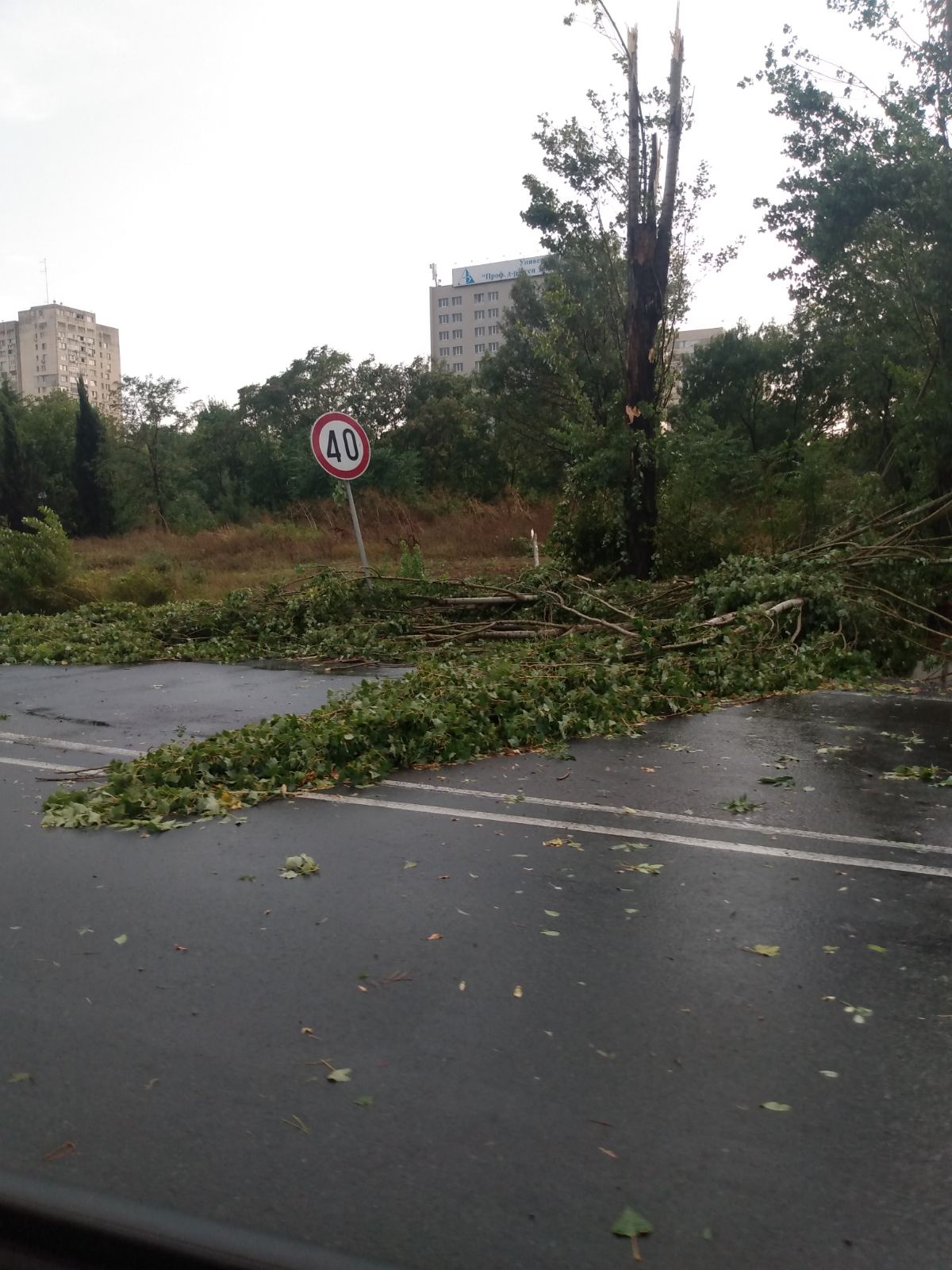 Незапомнен ураган връхлетя Бургас Улиците са задръстени от паднали дървета
