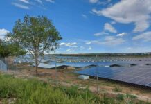 Слави Трифонов: Кирил Петков е от този особен вид лъжци, които сами вярват на лъжите си