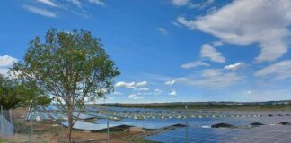 Слави Трифонов: Кирил Петков е от този особен вид лъжци, които сами вярват на лъжите си