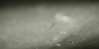 Митничари откриха близо 320 000 недекларирани британски лири в турски тир