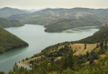 Труп на изчезнал преди година мъж изплува от язовир „Кърджали“