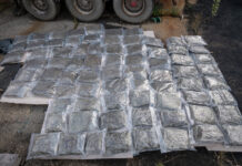 Марихуана за близо 800 000 лева укрита в хладилен камион със свинско месо