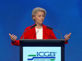 Много ми се ще да видя физиономиите на Урсулите като разкарат единия Орбан и се появи новият Орбан