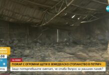 Подпалиха ферма на украинци до Петрич