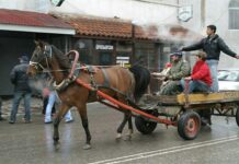 Циганите в България са 266 720, турците – 508 378