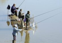 Риболовният билет поскъпва двойно