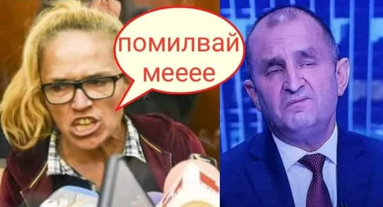 Стефан ТашевИванчева шеф на новата КПКОНПИ След като Йотова я помилва