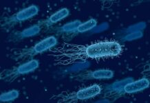 Шест смъртни случая в Гърция на деца, заразени от стрептококова бактерия