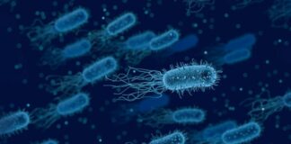 Епидемия от коклюш обхваща Европа