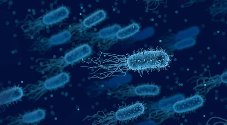 Седем деца са починали от бактериална инфекция във Великобритания За