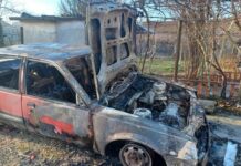 Полицаят с подпалената кола в Галиче: Подозирам, че причината е сигнал за поголовна сеч