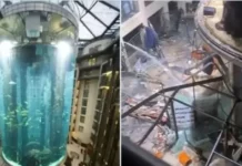 Най-големият аквариум в света се пръсна в берлински хотел, двама души са ранени /видео/