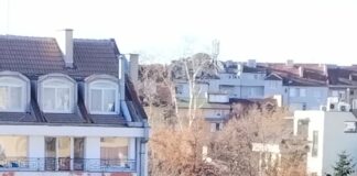 Трима души загинаха при пожар в София