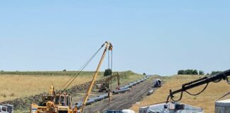 Шефът на „Сърбиягаз“: Интерконекторът с България ще бъде завършен до следващия отоплителен сезон