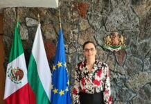 Посланичката ни в Мексико: Знаем за 18 депортирани български туристи