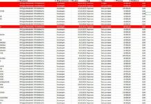 Едни и същи хора, свързани с пирамидата Nexo, са превеждали пари на ПП и ДБ в значителен размер