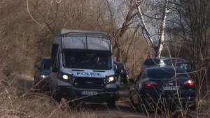 мигранти, локорско