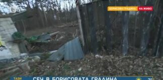 Общината прекрати договора на охранителна фирма заради незаконната сеч в Борисовата градина