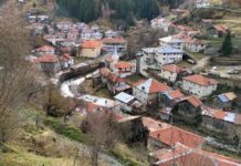 Майка и син открити мъртви в дома им в родопско село