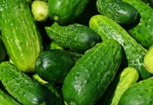 Лимоните и краставиците поскъпнаха най-много тази седмица