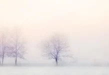 Зимата настъпва със сняг и студ