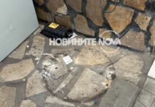 Трима бандити откраднаха кеш терминал в София