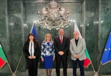 Иван Гешев и проф. Лазар Груев: Необходими са спешни промени в Наказателния кодекс, но те трябва да бъдат направени внимателно