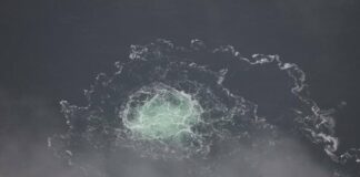 С подправен български паспорт била наета яхтата, от която е взривен „Северен поток“