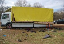 Петима на съд за смъртта на 18 афганистанци