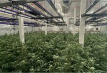 Разкриха голяма нарколаборатория в Сливенско