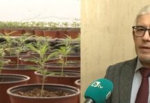 Следовател Маринов: Наркооранжерията в Сливенско е като подземен оазис с изкуствени слънца