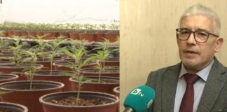 Следовател Маринов: Наркооранжерията в Сливенско е като подземен оазис с изкуствени слънца