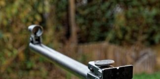 70-годишна простреля неволно мъж в Пазарджик, искала да сплаши кучета