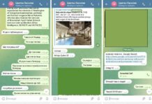 350 000 долара платени от Цветан Василев на американски лобисти, за да включат Гешев в „Магнитски“