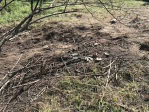 атентат, гешев