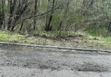 Бомбата срещу Гешев била управлявана от военен дрон