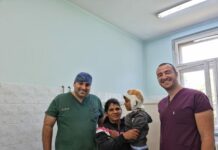 4-годишно дете е жестоко нахапано от куче във Велинград