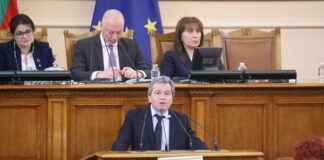 Тошко Йорданов сравни Настимир Ананиев с „малка, палава, обла пеперудка“