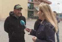 Кучета на Йордан Лечков разкъсали до смърт померан