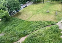 Шефът на Столичния общински съвет: Кмет от ДБ окосил ливада наполовина, открил „Мусагенският меридиан“