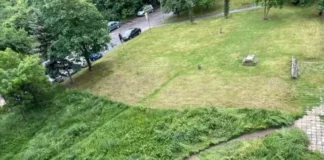 Шефът на Столичния общински съвет: Кмет от ДБ окосил ливада наполовина, открил „Мусагенският меридиан“