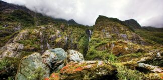 Турист падна от скала в Кърджалийско