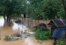 Евакуация във Видинско след преливането на река Войнишка