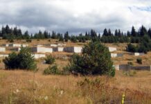 Президентът би могъл да остане в историята като „Радев-Пилонски“. Но „Роженски“ не става