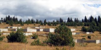 Президентът би могъл да остане в историята като „Радев-Пилонски“. Но „Роженски“ не става