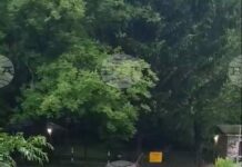 Частично бедствено положение е обявено в Етрополе след пороя