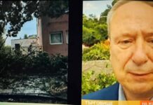 Кметът на Търговище: Градът беше помлян от силна буря, има изкоренени дървета