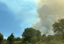 Продължава частичното бедствено положение в община Чепеларе